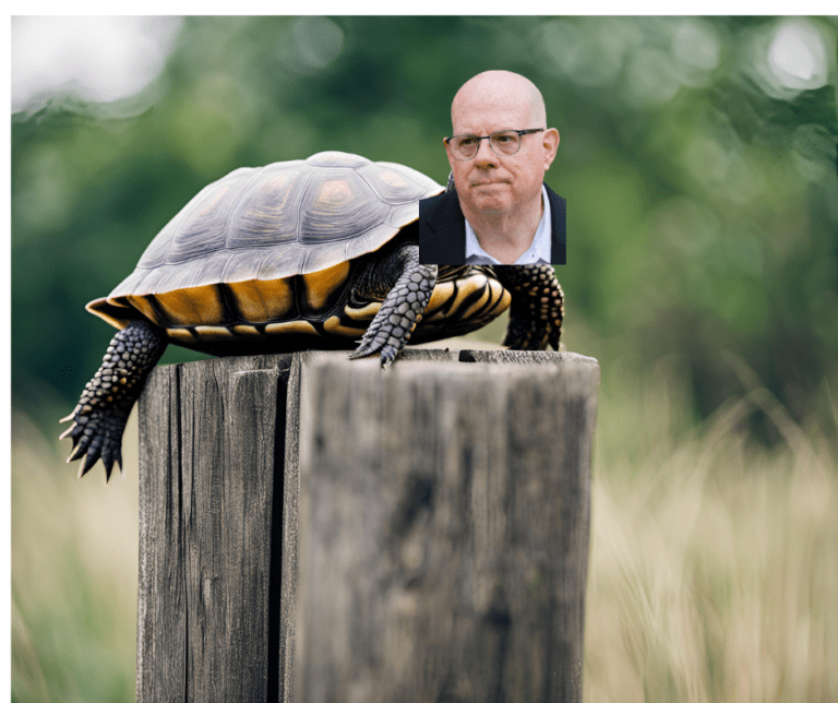 Larry Hogan: The Supreme Post Turtle