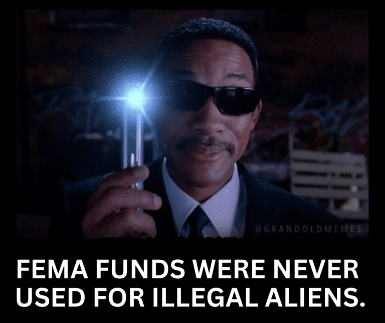 Illegal Aliens Fema