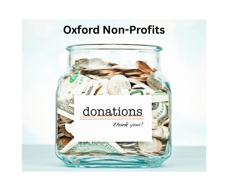 Why the oxford government should not fund non profits other than