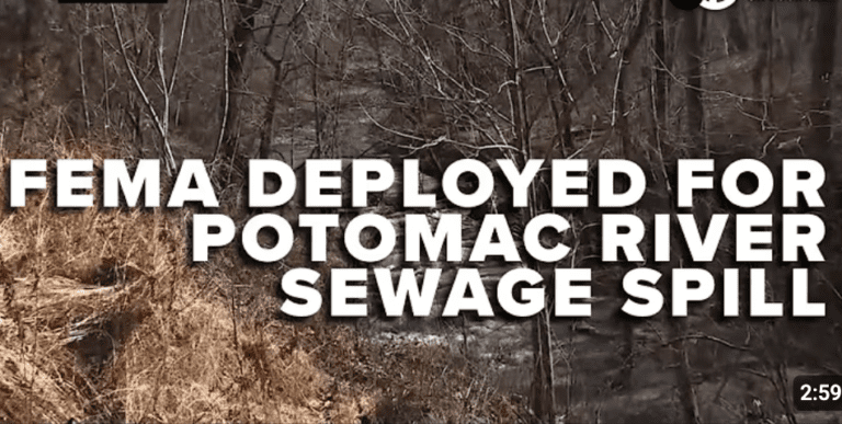 E. Coli At 'Incredibly Dangerous Levels' As DC Raw Sewage