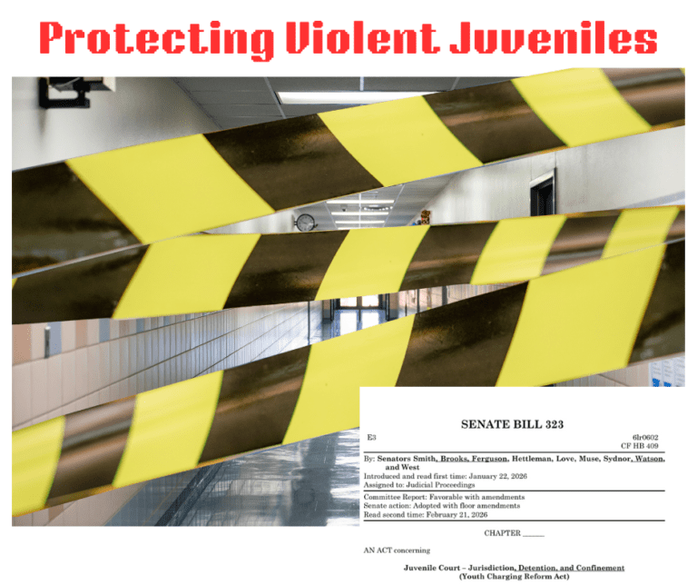 Violent Juveniles In Maryland Schools Violent Juveniles In Maryland Schools