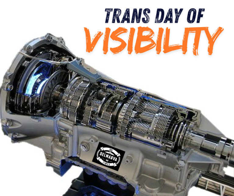 Trans day of visibility gay lgbtq